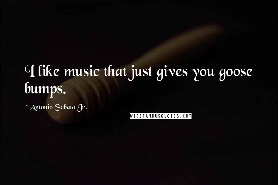 Antonio Sabato Jr. Quotes: I like music that just gives you goose bumps.