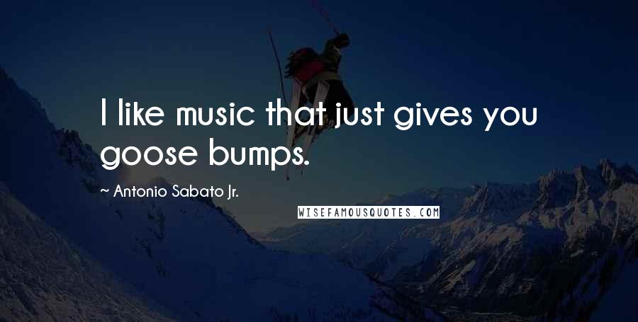 Antonio Sabato Jr. Quotes: I like music that just gives you goose bumps.