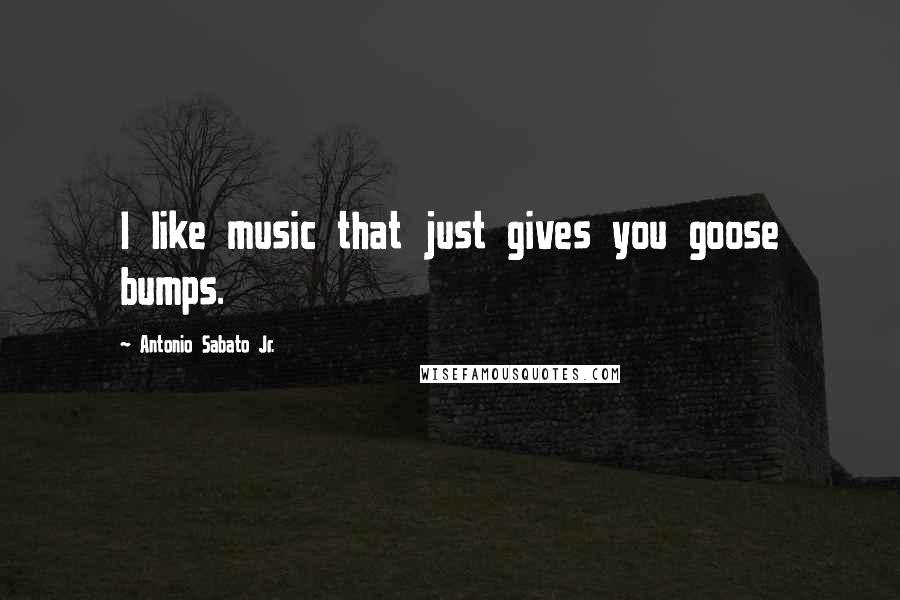Antonio Sabato Jr. Quotes: I like music that just gives you goose bumps.