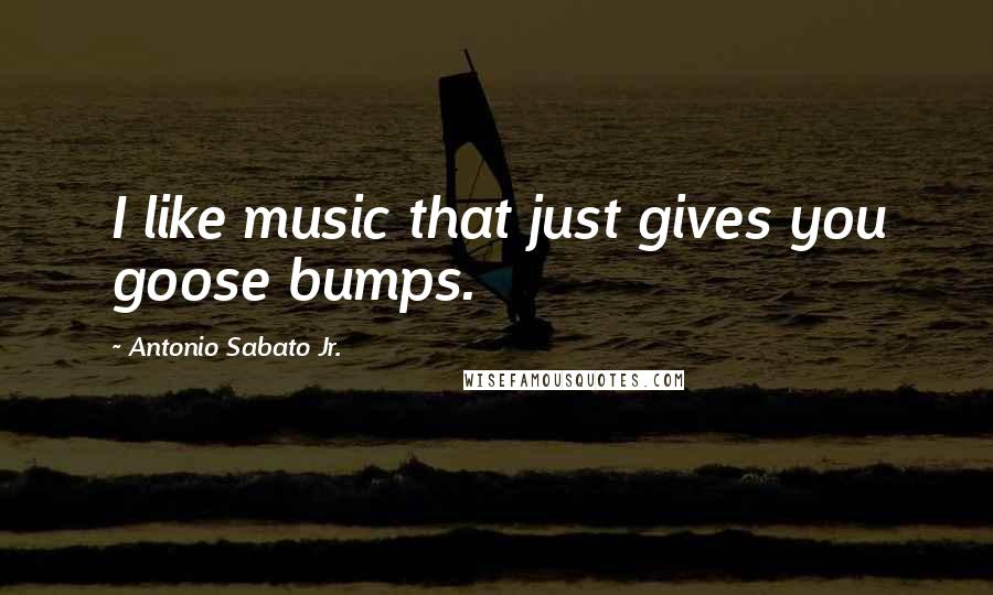 Antonio Sabato Jr. Quotes: I like music that just gives you goose bumps.
