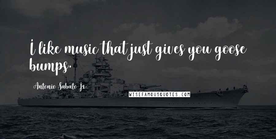 Antonio Sabato Jr. Quotes: I like music that just gives you goose bumps.