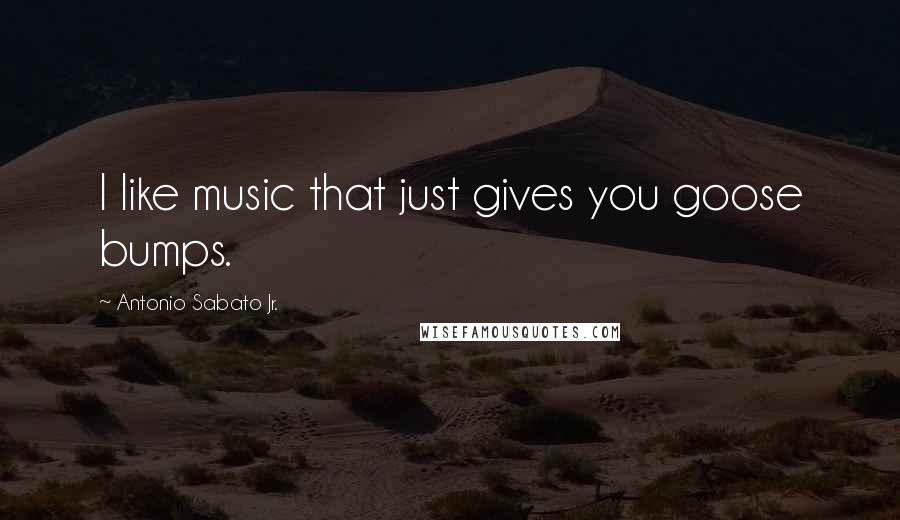 Antonio Sabato Jr. Quotes: I like music that just gives you goose bumps.