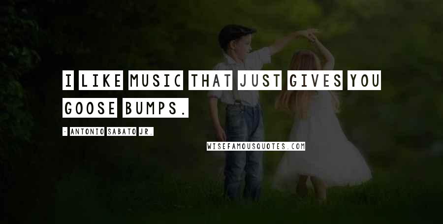 Antonio Sabato Jr. Quotes: I like music that just gives you goose bumps.