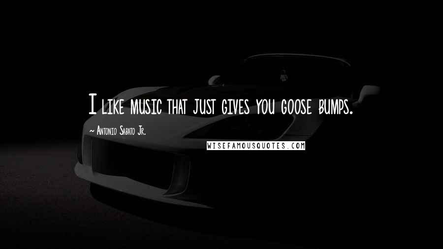 Antonio Sabato Jr. Quotes: I like music that just gives you goose bumps.