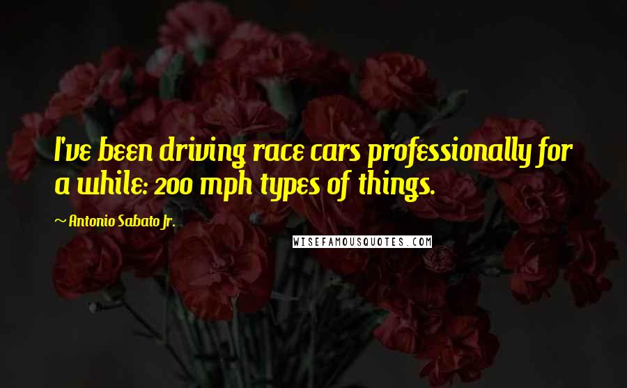 Antonio Sabato Jr. Quotes: I've been driving race cars professionally for a while: 200 mph types of things.