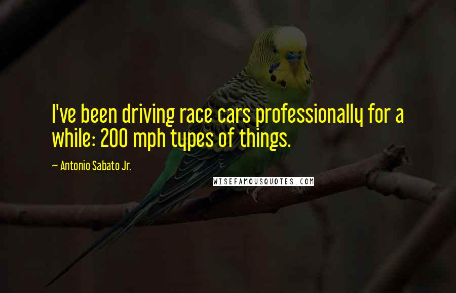 Antonio Sabato Jr. Quotes: I've been driving race cars professionally for a while: 200 mph types of things.