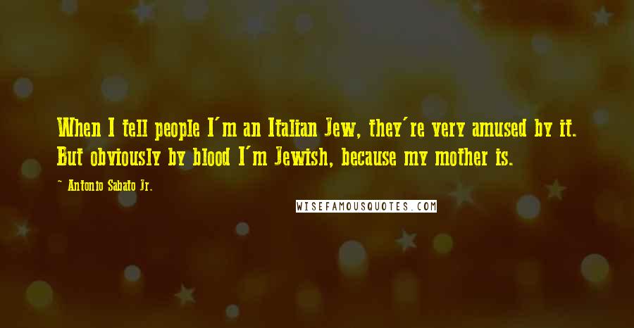 Antonio Sabato Jr. Quotes: When I tell people I'm an Italian Jew, they're very amused by it. But obviously by blood I'm Jewish, because my mother is.