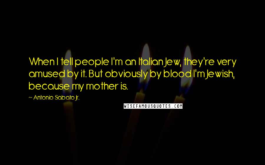 Antonio Sabato Jr. Quotes: When I tell people I'm an Italian Jew, they're very amused by it. But obviously by blood I'm Jewish, because my mother is.