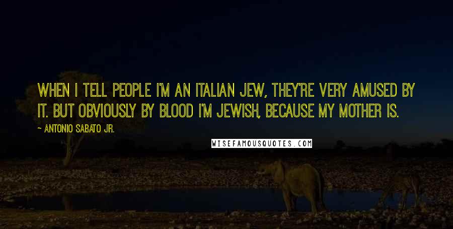 Antonio Sabato Jr. Quotes: When I tell people I'm an Italian Jew, they're very amused by it. But obviously by blood I'm Jewish, because my mother is.