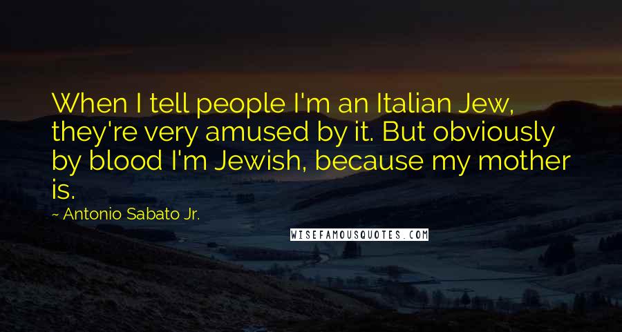 Antonio Sabato Jr. Quotes: When I tell people I'm an Italian Jew, they're very amused by it. But obviously by blood I'm Jewish, because my mother is.