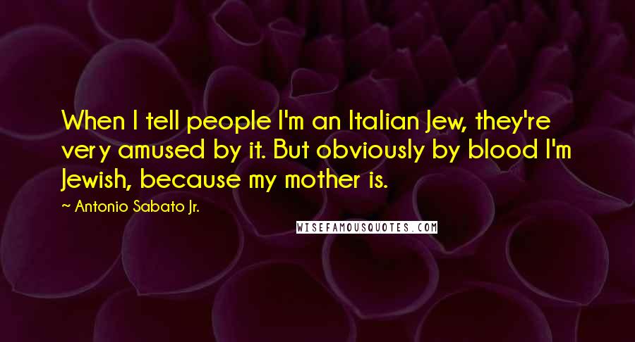 Antonio Sabato Jr. Quotes: When I tell people I'm an Italian Jew, they're very amused by it. But obviously by blood I'm Jewish, because my mother is.