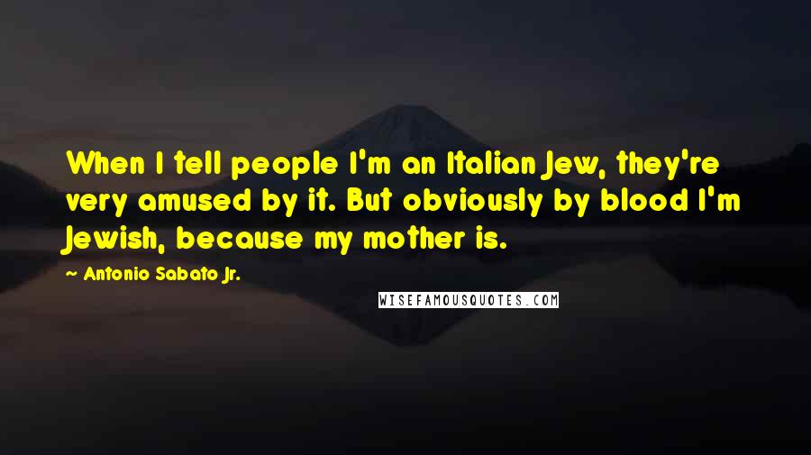 Antonio Sabato Jr. Quotes: When I tell people I'm an Italian Jew, they're very amused by it. But obviously by blood I'm Jewish, because my mother is.