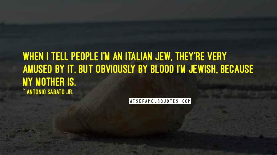 Antonio Sabato Jr. Quotes: When I tell people I'm an Italian Jew, they're very amused by it. But obviously by blood I'm Jewish, because my mother is.