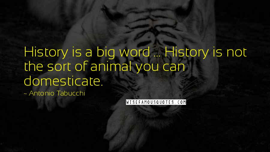 Antonio Tabucchi Quotes: History is a big word ... History is not the sort of animal you can domesticate.