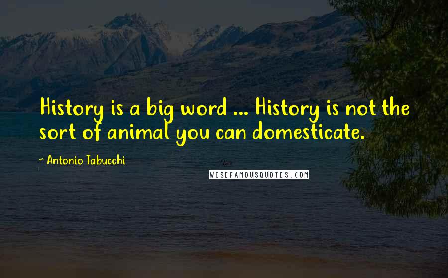 Antonio Tabucchi Quotes: History is a big word ... History is not the sort of animal you can domesticate.