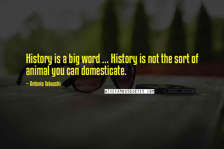 Antonio Tabucchi Quotes: History is a big word ... History is not the sort of animal you can domesticate.