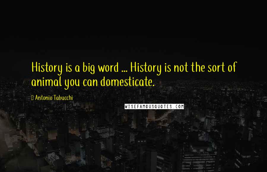 Antonio Tabucchi Quotes: History is a big word ... History is not the sort of animal you can domesticate.