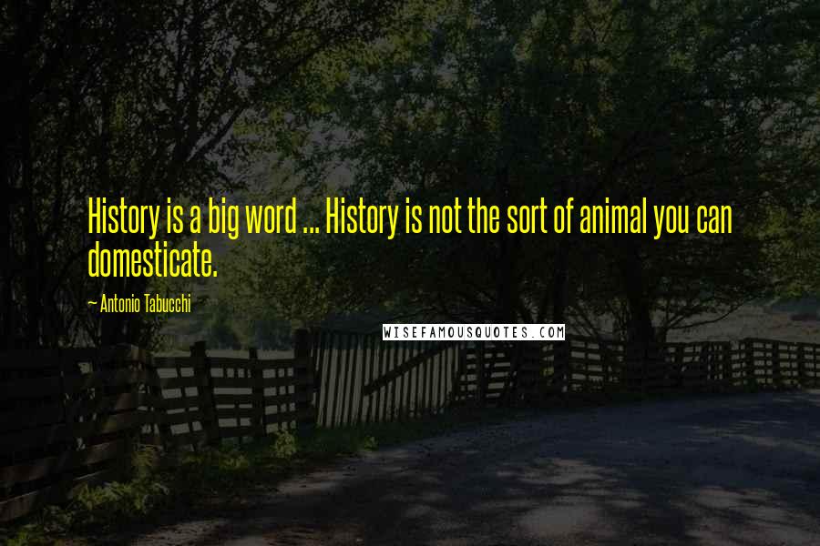 Antonio Tabucchi Quotes: History is a big word ... History is not the sort of animal you can domesticate.