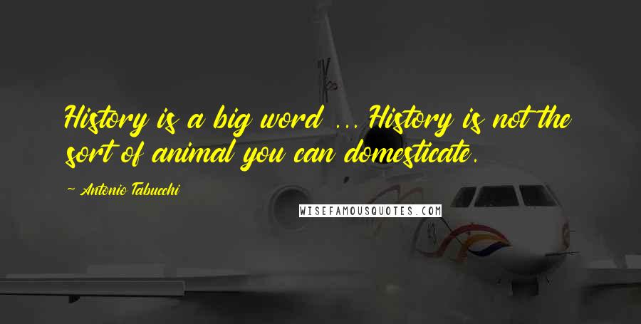 Antonio Tabucchi Quotes: History is a big word ... History is not the sort of animal you can domesticate.