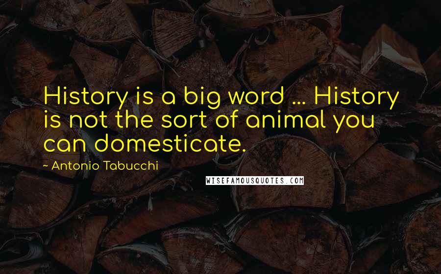 Antonio Tabucchi Quotes: History is a big word ... History is not the sort of animal you can domesticate.