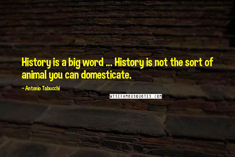 Antonio Tabucchi Quotes: History is a big word ... History is not the sort of animal you can domesticate.