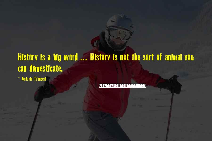 Antonio Tabucchi Quotes: History is a big word ... History is not the sort of animal you can domesticate.