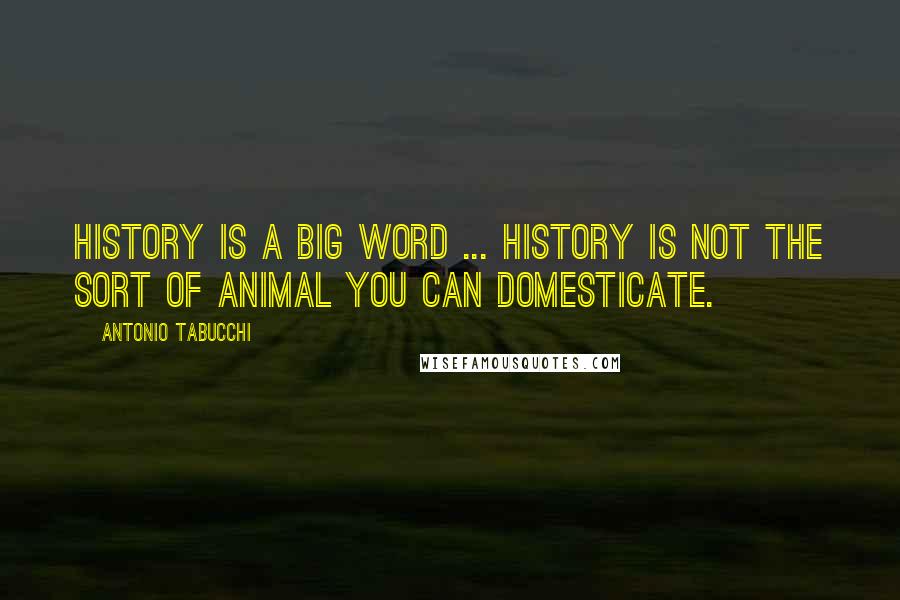 Antonio Tabucchi Quotes: History is a big word ... History is not the sort of animal you can domesticate.