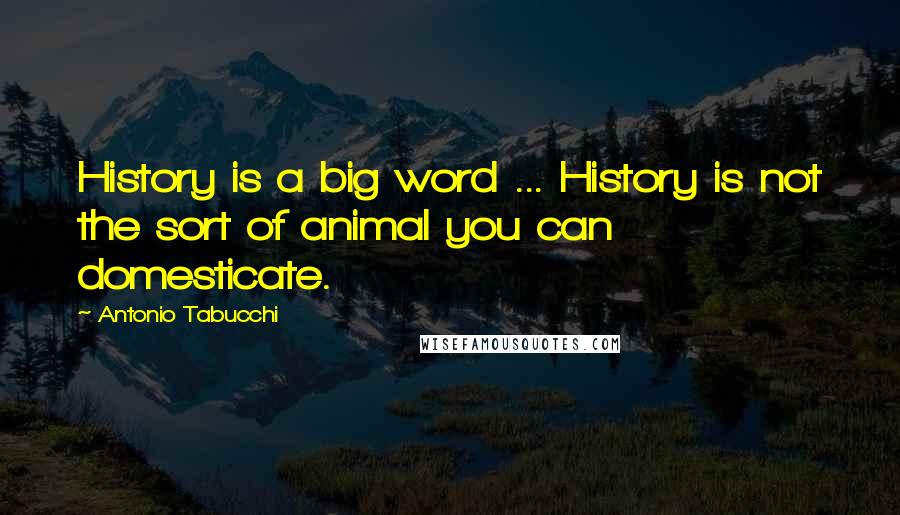 Antonio Tabucchi Quotes: History is a big word ... History is not the sort of animal you can domesticate.