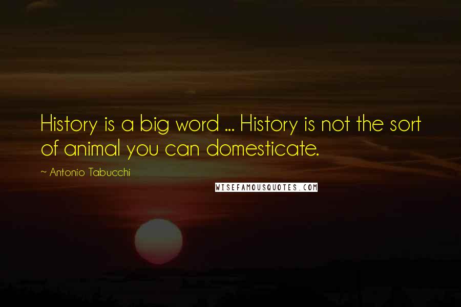 Antonio Tabucchi Quotes: History is a big word ... History is not the sort of animal you can domesticate.