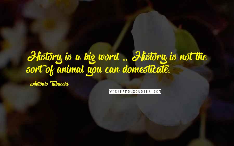 Antonio Tabucchi Quotes: History is a big word ... History is not the sort of animal you can domesticate.