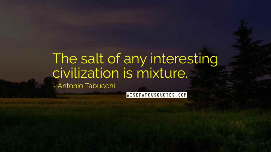 Antonio Tabucchi Quotes: The salt of any interesting civilization is mixture.