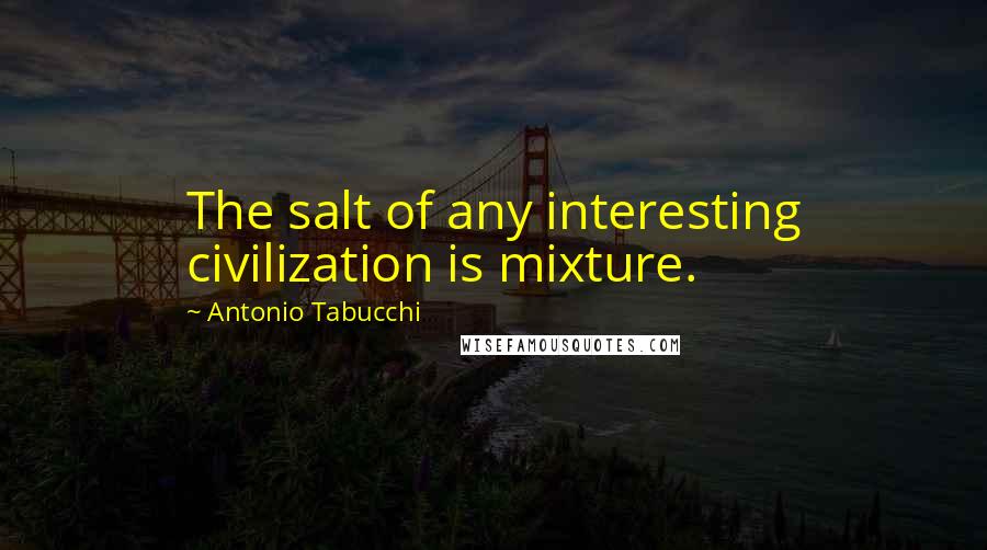 Antonio Tabucchi Quotes: The salt of any interesting civilization is mixture.