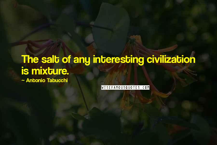 Antonio Tabucchi Quotes: The salt of any interesting civilization is mixture.