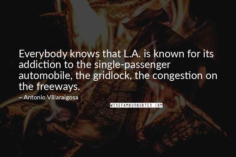 Antonio Villaraigosa Quotes: Everybody knows that L.A. is known for its addiction to the single-passenger automobile, the gridlock, the congestion on the freeways.