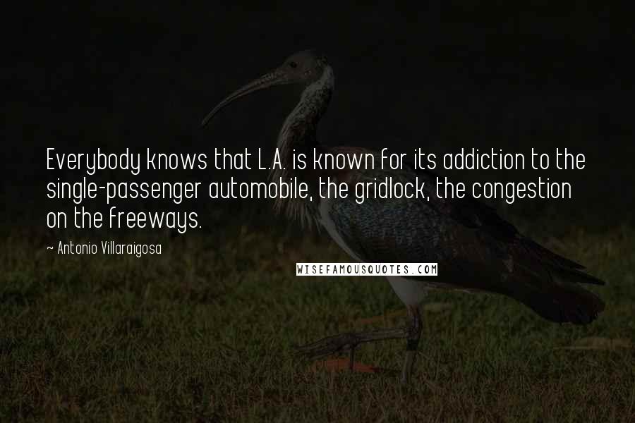 Antonio Villaraigosa Quotes: Everybody knows that L.A. is known for its addiction to the single-passenger automobile, the gridlock, the congestion on the freeways.