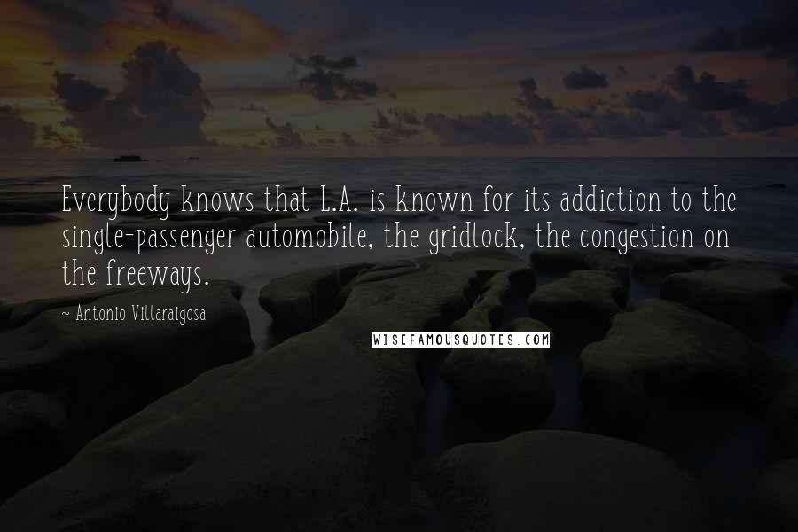 Antonio Villaraigosa Quotes: Everybody knows that L.A. is known for its addiction to the single-passenger automobile, the gridlock, the congestion on the freeways.