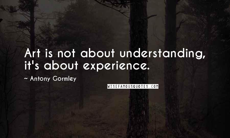 Antony Gormley Quotes: Art is not about understanding, it's about experience.