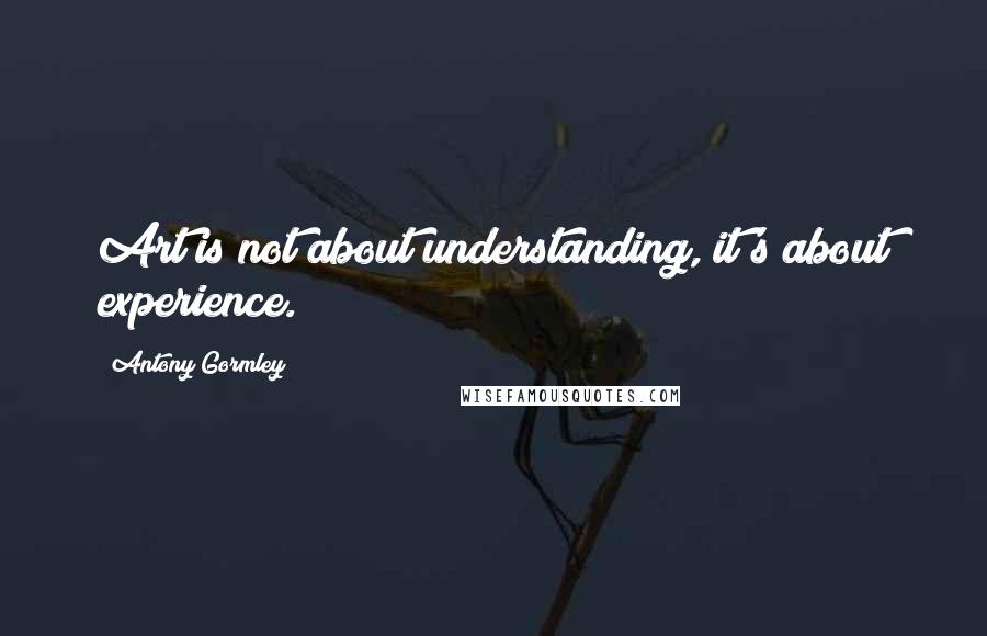 Antony Gormley Quotes: Art is not about understanding, it's about experience.