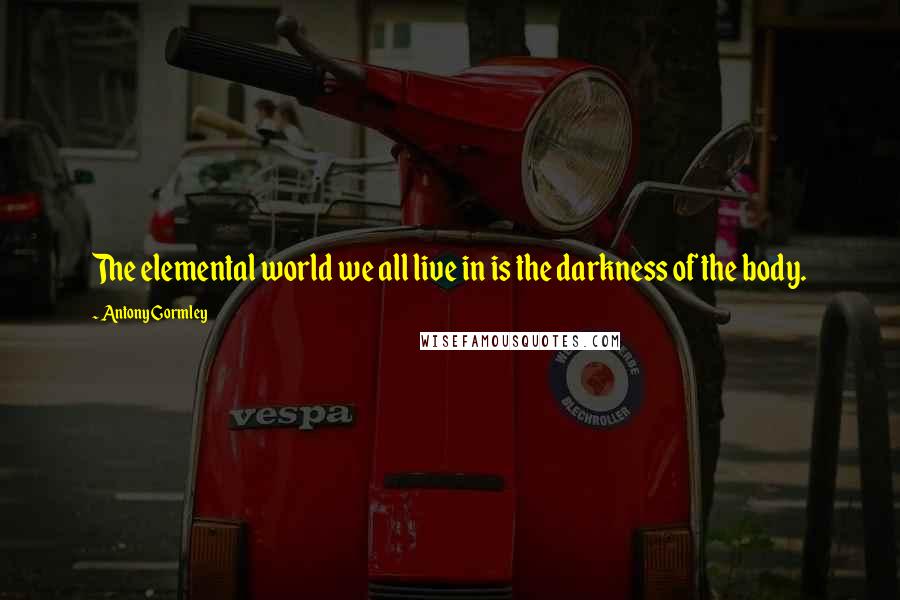 Antony Gormley Quotes: The elemental world we all live in is the darkness of the body.