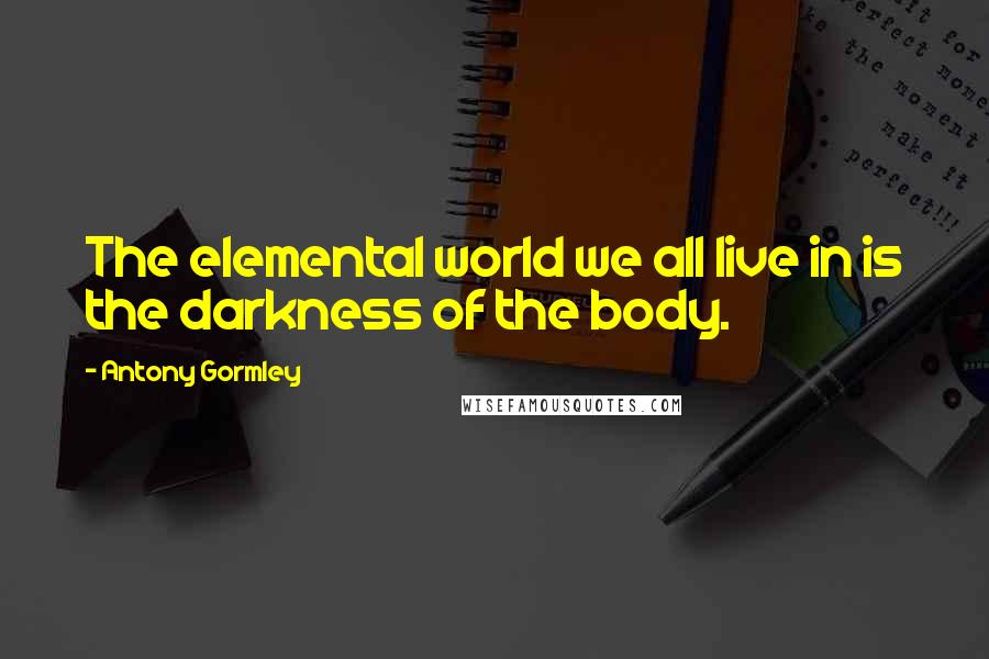 Antony Gormley Quotes: The elemental world we all live in is the darkness of the body.