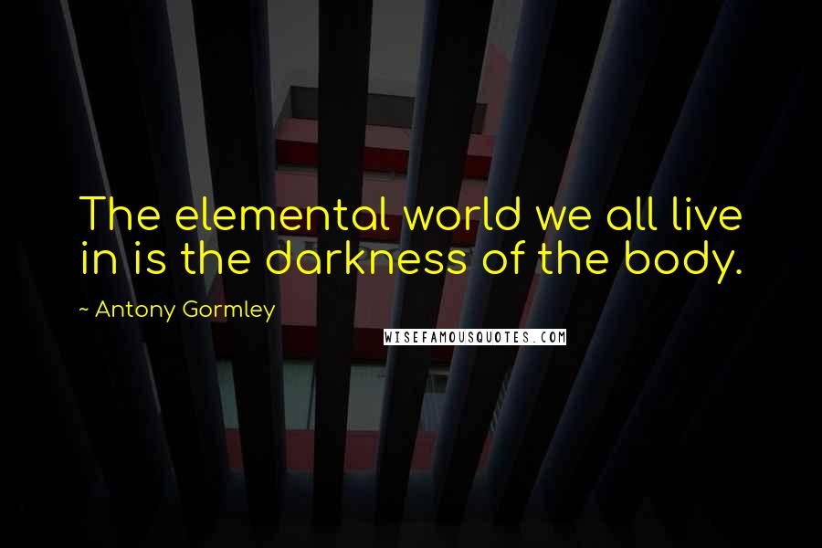 Antony Gormley Quotes: The elemental world we all live in is the darkness of the body.