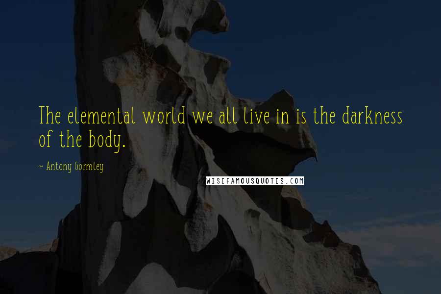 Antony Gormley Quotes: The elemental world we all live in is the darkness of the body.