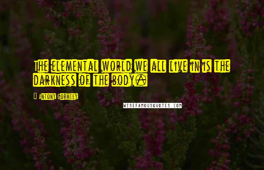 Antony Gormley Quotes: The elemental world we all live in is the darkness of the body.