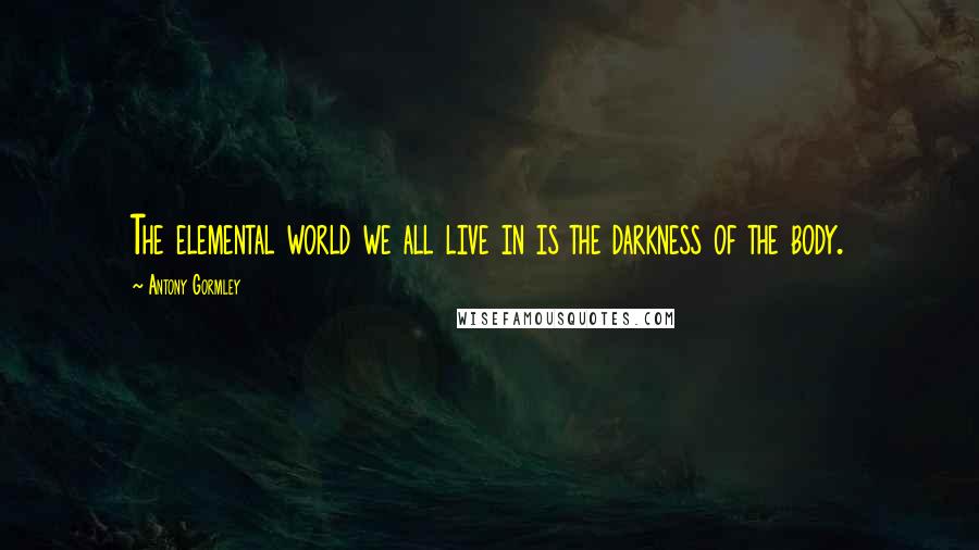 Antony Gormley Quotes: The elemental world we all live in is the darkness of the body.