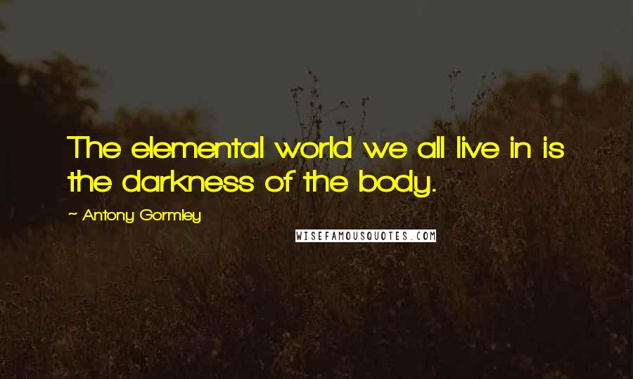 Antony Gormley Quotes: The elemental world we all live in is the darkness of the body.