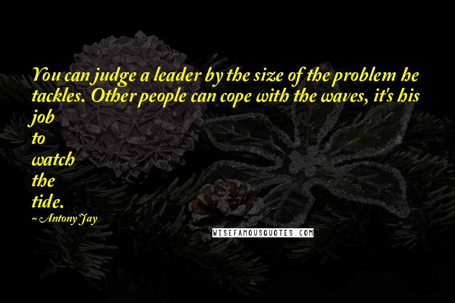 Antony Jay Quotes: You can judge a leader by the size of the problem he tackles. Other people can cope with the waves, it's his job to watch the tide.
