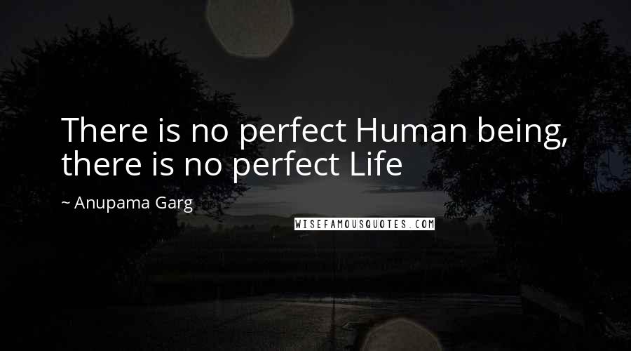 Anupama Garg Quotes: There is no perfect Human being, there is no perfect Life