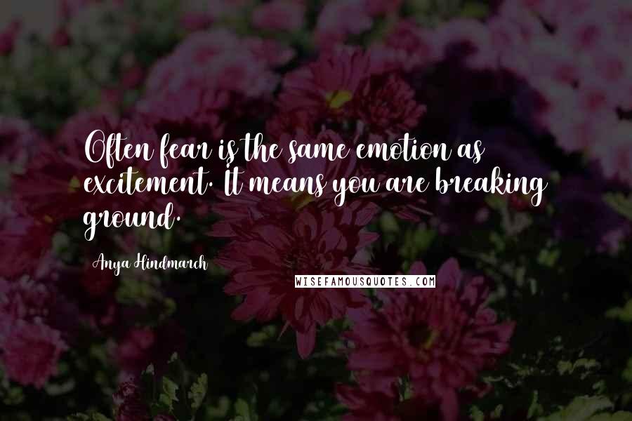 Anya Hindmarch Quotes: Often fear is the same emotion as excitement. It means you are breaking ground.