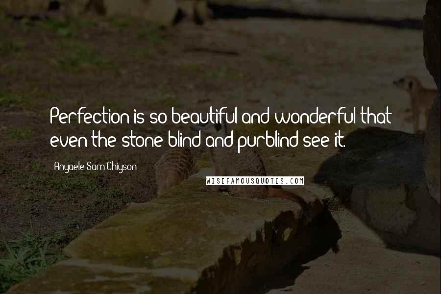 Anyaele Sam Chiyson Quotes: Perfection is so beautiful and wonderful that even the stone-blind and purblind see it.