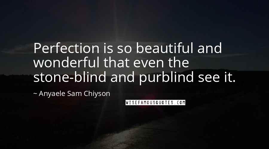Anyaele Sam Chiyson Quotes: Perfection is so beautiful and wonderful that even the stone-blind and purblind see it.